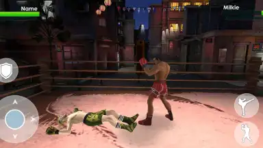 Capture d'écran de Tag Team Boxing 2