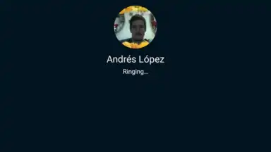 Capture d'écran de Skype Lite 12
