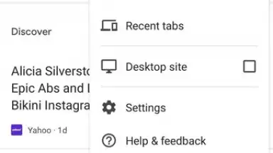 Capture d'écran de Google Chrome 8