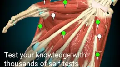 Capture d'écran de 3D Anatomy Learning 3