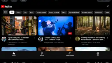 Capture d'écran de YouTube (Android Auto) 5