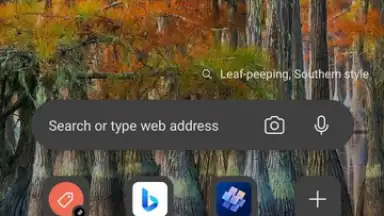 Capture d'écran de Microsoft Edge Dev 1