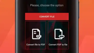 Capture d'écran de PDF Conversion Tool 8