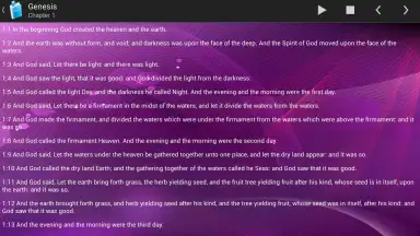 Capture d'écran de Holy Bible King James Version 12