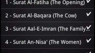 Capture d'écran de BanglaQuran 5