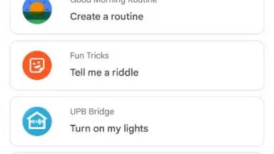 Capture d'écran de Google Assistant 1