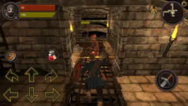Capture d'écran de Dungeon Ward 7