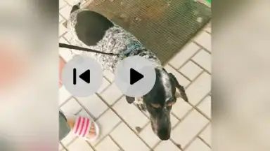 Capture d'écran de iShot Video Editor 2