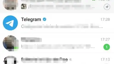 Capture d'écran de ForkGram 7