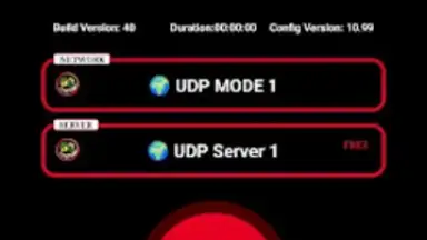 Capture d'écran de BD NET VPN 3