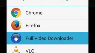 Capture d'écran de Full Video Downloader 2