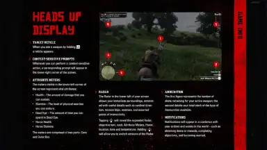 Capture d'écran de RDR2: Companion 5