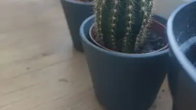 Capture d'écran de TikTok Now 4