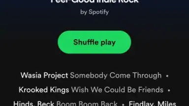 Capture d'écran de Spotify Lite 8