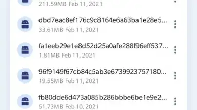 Capture d'écran de PoMelo File Explorer 5