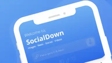Capture d'écran de SocialDown: no watermark 2
