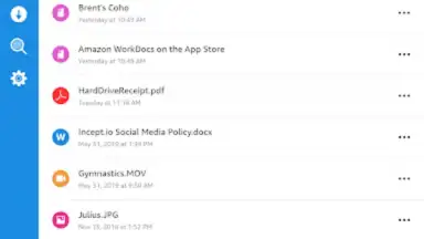 Capture d'écran de Amazon Zocalo 3