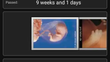 Capture d'écran de Pregnancy Assistant 3