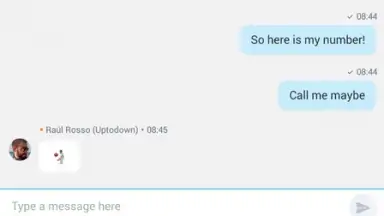 Capture d'écran de Skype Lite 5