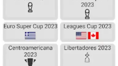 Capture d'écran de World Football Simulator 14