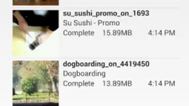 Capture d'écran de AVD Android Video Downloader 4