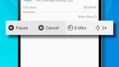Capture d'écran de Free Download Manager 1