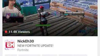 Capture d'écran de Twitch 2