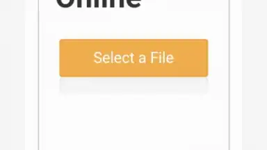 Capture d'écran de Video Converter Pro 1
