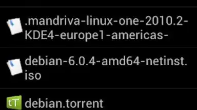 Capture d'écran de tTorrent Lite 5