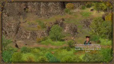 Capture d'écran de Hero of the Kingdom III 4