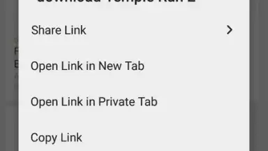 Capture d'écran de Tor Browser 15