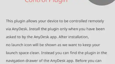 Capture d'écran de AnyDesk plugin ad1 8