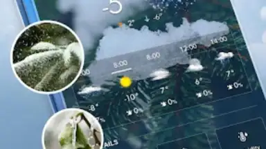 Capture d'écran de Local Weather Widget 9