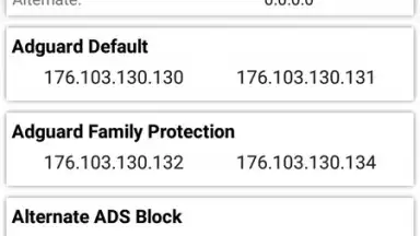 Capture d'écran de DNS Smart Changer 3