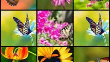 Capture d'écran de Butterfly Flower for DoodleTex 3