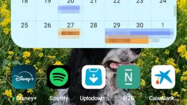 Capture d'écran de Google Calendar 8