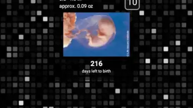 Capture d'écran de Pregnancy Assistant 1