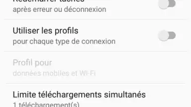 Capture d'écran de IDM (internet download menager) 5