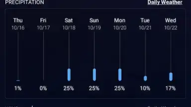 Capture d'écran de Local Weather Widget 11