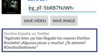 Capture d'écran de Video Downloader for Twitter 3