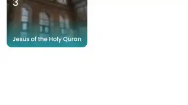 Capture d'écran de The Holy Quran - English 1