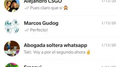 Capture d'écran de WhatsApp Messenger 26