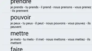 Capture d'écran de Le Conjugueur 5