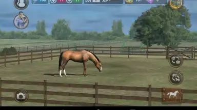 Capture d'écran de My Horse 8