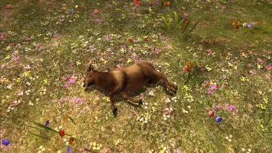 Capture d'écran de Deer Hunter Classic 4