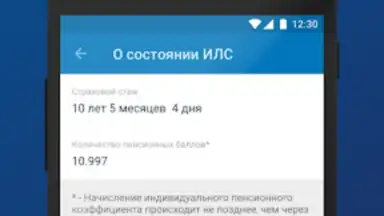 Capture d'écran de ПФР Электронные сервисы 3