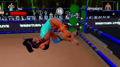 Capture d'écran de Tag Team Wrestling Games: Mega Cage Ring Fighting 11