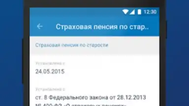 Capture d'écran de ПФР Электронные сервисы 2