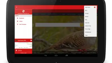 Capture d'écran de Anonymous Browser 4