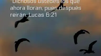 Capture d'écran de Promesas 3